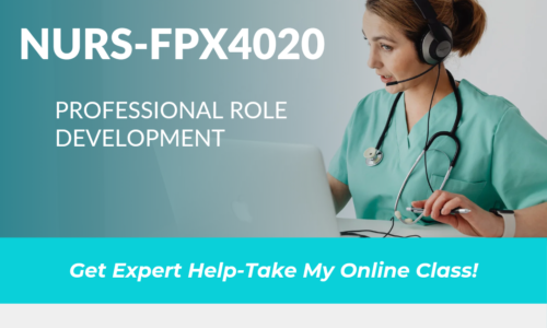 NURS-FPX4020: Professional Role Development